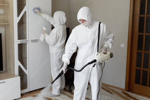 24/7 Emergency Odor Removal experts in Jackson Center, OH
